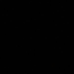 Meet your Posher, Zoe